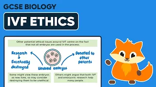 IVF Ethics - GCSE Biology