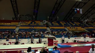 BOYER Marine (FRA) - 2018 Artistic Worlds, Doha (QAT) - Qualifications Vault 1