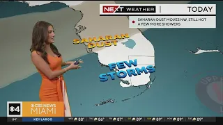 AM Weather forecast for July 26, 2023