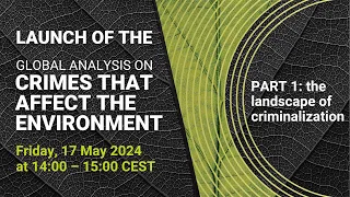 Launch of the Global Analysis on Crimes that Affect the Environment: Landscape of Criminalization