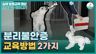 (방문교육1편)강아지 분리불안증 빠르게 고치는 방법ㅣ단기효과