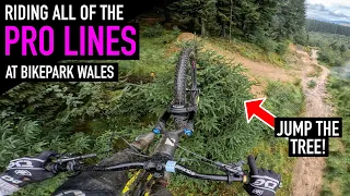 RIDING EVERY PRO TRAIL AT BIKE PARK WALES!!