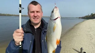 Рыбалка на речке Днепре в Кременчуге вместе с тестем удалась.