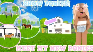 🐴MEET MY NEW SHOW PONIES!✨ Roblox Wild Horse Islands RP | Episode 4