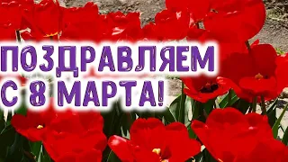 Поздравление с 8 марта - с Международным женским днем. Подарок  матерям, дочерям, бабушкам, сестрам