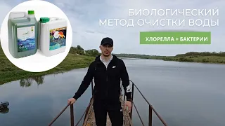 Биологический метод очистки водоема: хлорелла + бактерии!