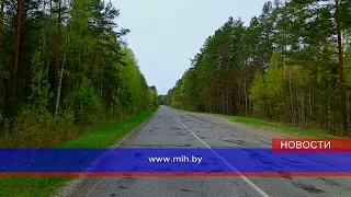 Во всех районах Беларуси ограничено посещение лесов