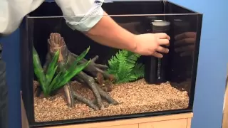 Setting up a Goldfish Aquarium
