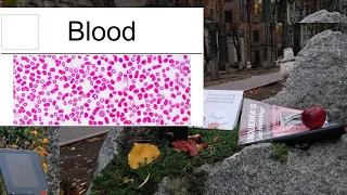 6.Blood (histology lecture)