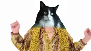 Pen Pineapple Apple Pen Song #CAT REMIX - CHEE YEE Teoh - PPAP