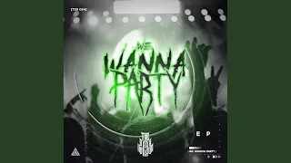 We Wanna Party (Original Mix)