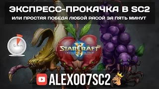 Экспресс-прокачка в StarCraft 2: Победа любой расой за 5 минут