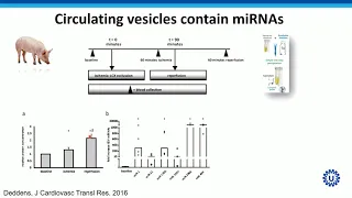 Extracellular vesicles for diagnostics and therapeutics where do we stand