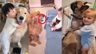 Dogs and Babies Best Moments Playing Together