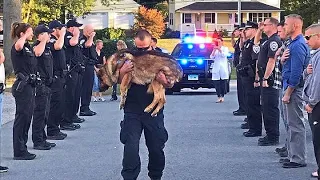 K9 Police Dogs Funeral Processions. Thank You for Your Service.