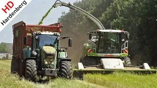 Whole Crop Silage | Claas Jaguar 940 + Direct Disc 610 | Schimmel & Geresteijn | 2018