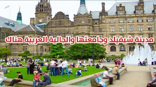 مدينة شيفيلد وجامعتها والجالية العربية هناك Sheffield- Sheffield University