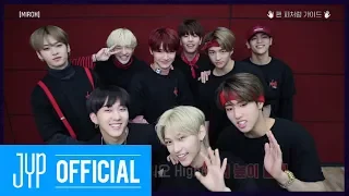 Stray Kids "MIROH" Fan Featuring Guide Video