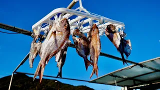 Japanese Fisherman Catches Sea Bream, Dries and Eats It!