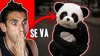 PANDA se va de YOLO AVENTURA (necesita AYUDA)