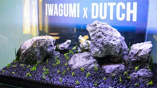 IWAGUMI mix DUTCH Style Planted Tank - AQUASCAPE