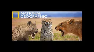 Animal Documentary 2017 Africa - Wild Kalahari | National Geographic Documentary