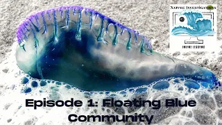 Part 1 Floating Blue Community