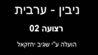 ניבין - ערבית רצועה 02.wmv