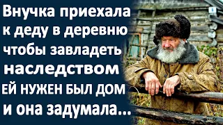 Внучка приехала к деду, чтобы завладеть его наследством... И вот что произошло дальше...