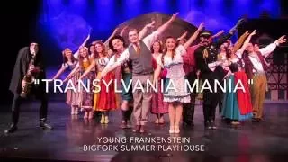 Tyler Pirrung, Craig Franke, Brittany Ambler, & Co. - "Transylvania Mania" from Young Frankenstein