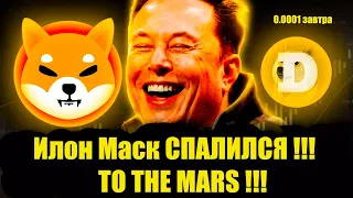 ТЕПЕРЬ ТОЧНО ! SHIBA INU ЭТО МОНЕТА ИЛОНА МАСКА / ЛЕТИМ НА МАРС / TO THE MARS