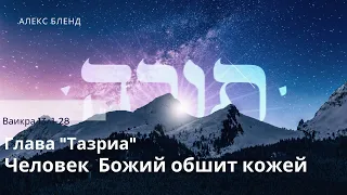 Недельная глава Тазриа. Человек Божий обшит кожей. Ваикра 13:1-28