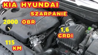 EXPERT SZARPANIE KIA HYUNDAI 1,6 CRDI 115 KM  PRZY OK 2000 OBR