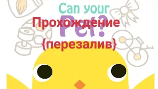 прощай цыпленок 😥 [can your pet ] (прохождение)