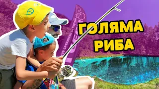 ТРИМА ЧОВЕКА ВАДЯТ ЕДНА РИБА!!! НЕУДЪРЖИМИТЕ 2!!! Риболов на пъстърва, щука и шаран на с. Гинци