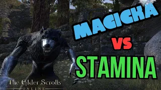 Magicka or Stamina, Which Should YOU Choose? | Elder Scrolls Online