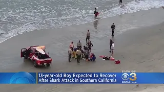 13-Year-Old Boy Expected To Recover After Shark Attack In Southern California