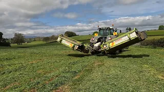 It's All Go - Mating's Started, Weighing Heifers Plus Scratchies & Mowing Silage