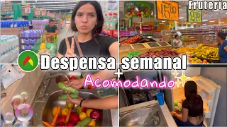 DESPENSA SEMANAL EN BODEGA 🍅🍌🍎🥑+acomodando+Me voy a mexico🇲🇽😳(les cuento)