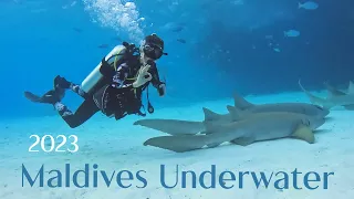 Maldives scuba diving safari - a cinematic video