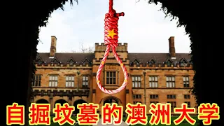 面对即将到来的反共调查，澳洲大学慌了！为帮中共，堂堂教授连这么无耻的话都说得出来（坐澳观天第235期 20201223）