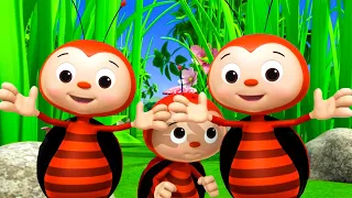 Ladybug Adventures|  👼Little Baby Bum - Preschool Playhouse