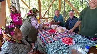 Dolu dolu bir gün piknik yayla türküler sohbet muhabbet doğa manzara #Hanönü