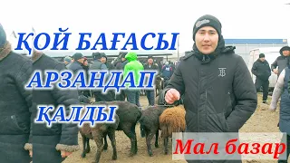 КЕЛЕС АБАЙ МАЛ БАЗАРЫ | ҚОЙ МЕН ҚОШҚАР БАҒАСЫ ЯНВАРЬ АЙЫ  | pasar ternak