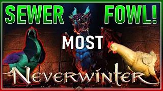 FAST Completion Method! Easy Event Currency for April Fowls Event! - Neverwinter 2022