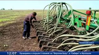 В Тюменской области обработано 85% посевных земель