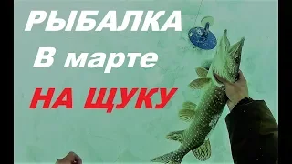 Рыбалка в Казахстане, март 2019 щука на жерлицы.