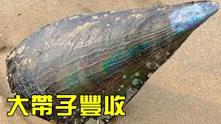 [Xiao Yu's Sea Trip] Big belt & huge grouper caught  knees scratched!