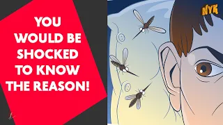Why Do Mosquitoes Buzz Close To Our Ears?