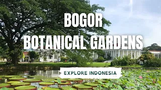 Bogor Botanical Gardens | Explore Indonesia | Eileen Leizel